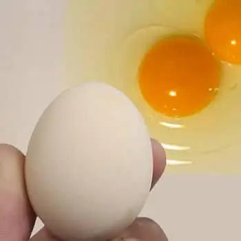 Dasi Eggs – Pure & Nutritious