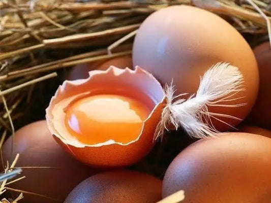 Dasi Eggs – Pure & Nutritious